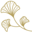 ginko