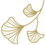 ginko
